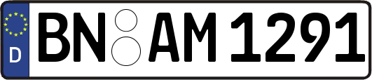BN-AM1291