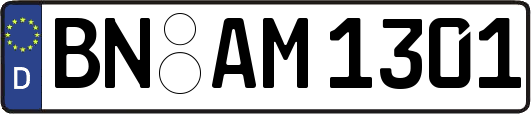 BN-AM1301