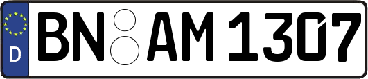 BN-AM1307
