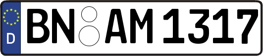 BN-AM1317