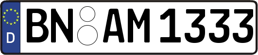BN-AM1333