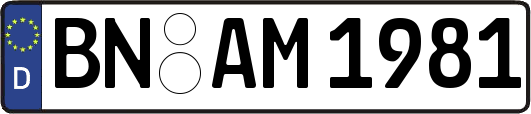 BN-AM1981