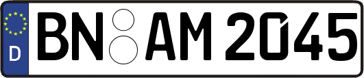BN-AM2045