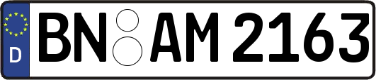 BN-AM2163