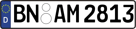 BN-AM2813