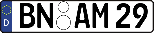 BN-AM29