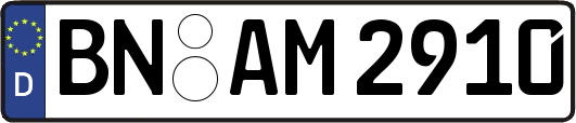 BN-AM2910