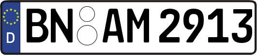 BN-AM2913