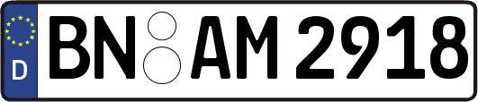 BN-AM2918