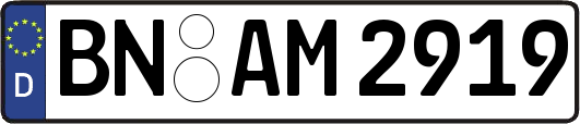 BN-AM2919