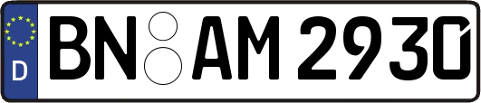 BN-AM2930