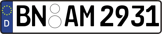 BN-AM2931