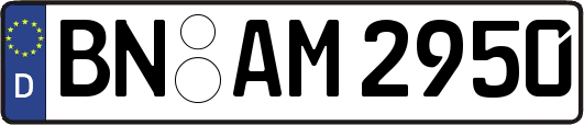 BN-AM2950