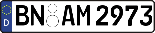 BN-AM2973