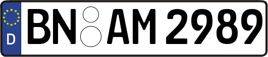 BN-AM2989