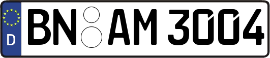BN-AM3004
