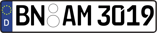BN-AM3019