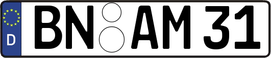 BN-AM31
