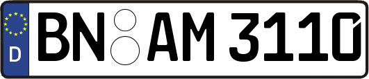 BN-AM3110