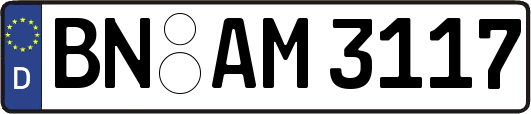 BN-AM3117