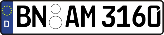 BN-AM3160