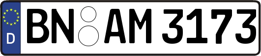 BN-AM3173