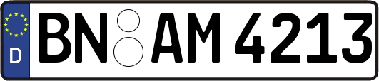 BN-AM4213