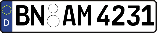 BN-AM4231