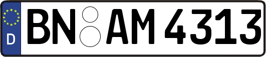 BN-AM4313