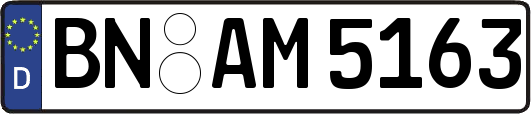 BN-AM5163