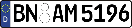 BN-AM5196