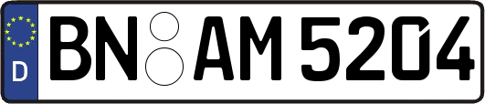 BN-AM5204