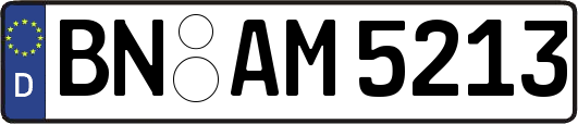 BN-AM5213