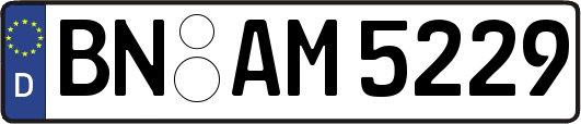 BN-AM5229