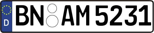 BN-AM5231