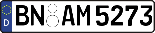 BN-AM5273