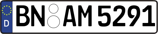 BN-AM5291