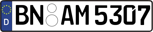 BN-AM5307
