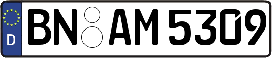 BN-AM5309