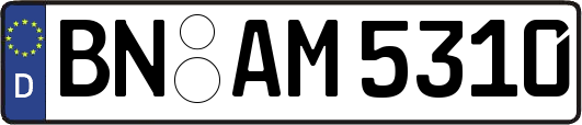 BN-AM5310