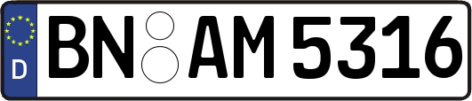 BN-AM5316