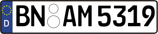 BN-AM5319