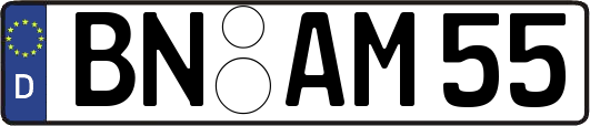 BN-AM55