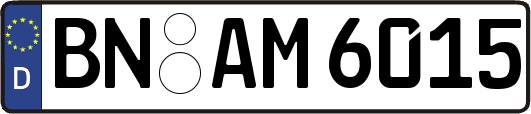 BN-AM6015