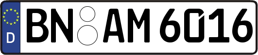 BN-AM6016