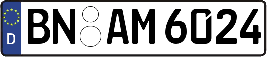 BN-AM6024