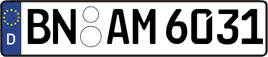 BN-AM6031