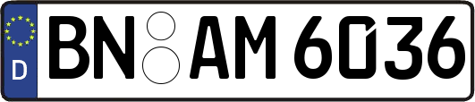 BN-AM6036