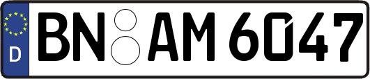 BN-AM6047