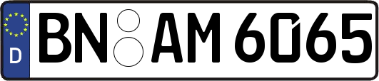 BN-AM6065